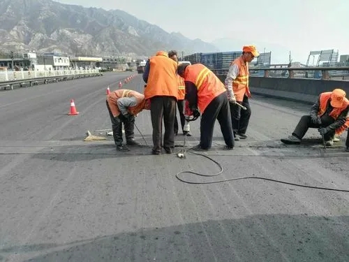 宣城道路桥梁病害治理